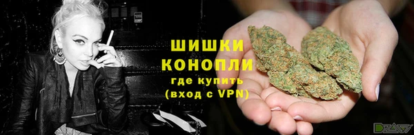 тгк Иннополис