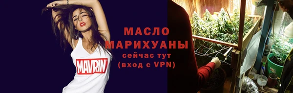 МДПВ Ветлуга