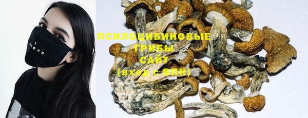тгк Иннополис